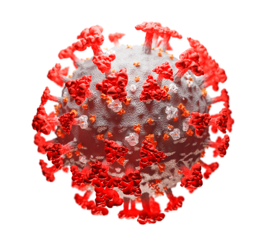 Rendering of the coronavirus responsible for Covid-19.